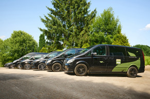 11 huhn-bestattungen