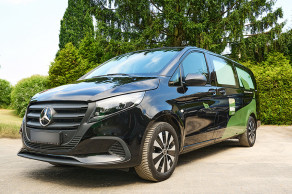 14 huhn-bestattungen